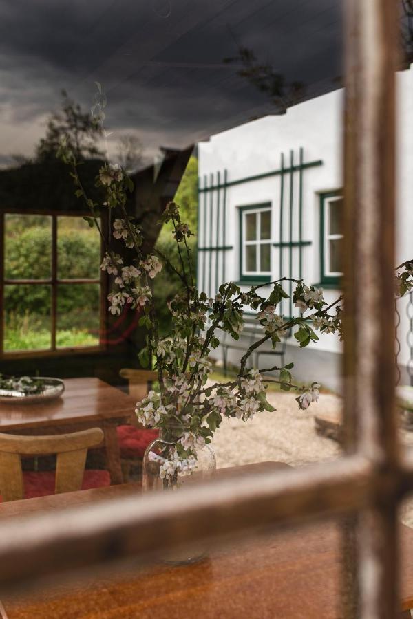 شقة Haus Enzian هينترستودر المظهر الخارجي الصورة