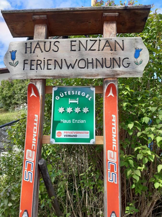 شقة Haus Enzian هينترستودر المظهر الخارجي الصورة